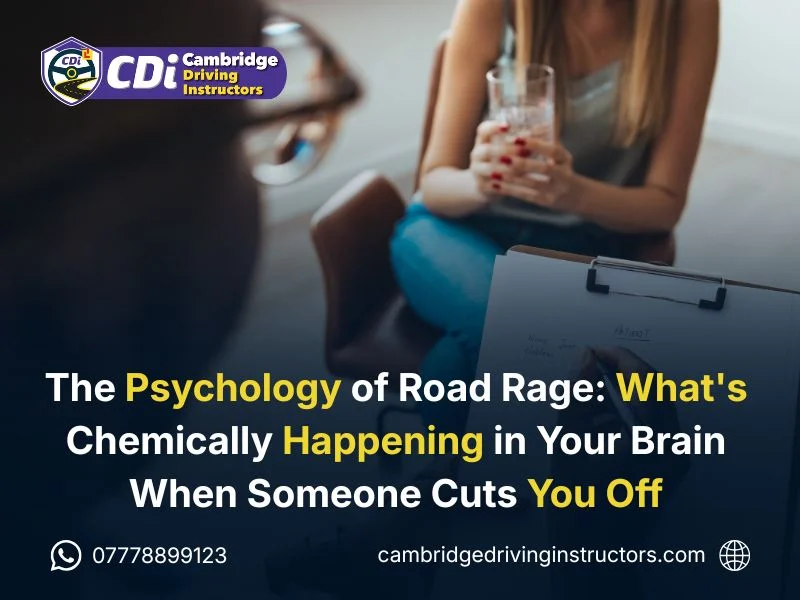 The Psychology of Road Rage What's Chemically Happening in Your Brain When Someone Cuts You Off